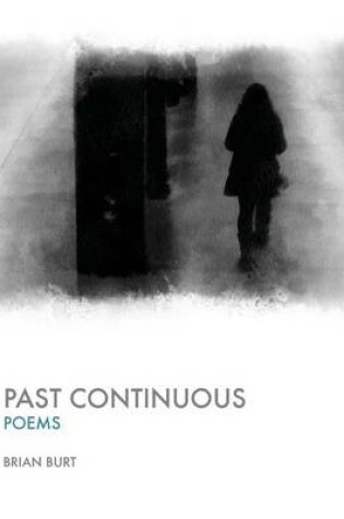 Cover of Past Continuous