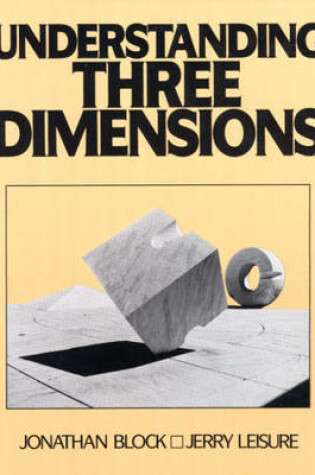 Cover of Understanding Three Dimensions