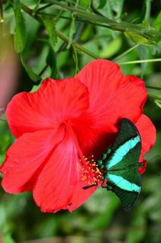 Cover of Emerald Swallow Tail Butterfly on a Hibiscus, for the Love of Nature