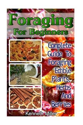 Book cover for Foraging for Beginners