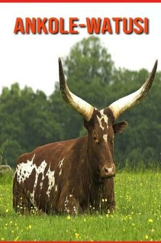 Cover of Ankole-Watusi