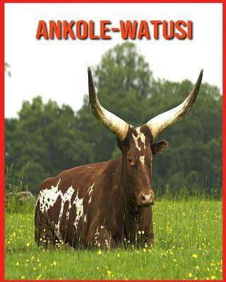 Book cover for Ankole-Watusi