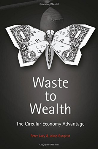 Book cover for Waste to Wealth