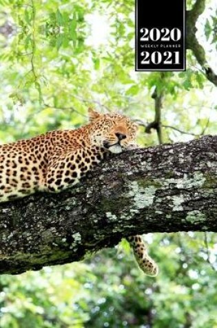 Cover of Panther Leopard Cheetah Cougar Week Planner Weekly Organizer Calendar 2020 / 2021 - Nap on a Tree
