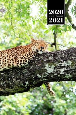 Book cover for Panther Leopard Cheetah Cougar Week Planner Weekly Organizer Calendar 2020 / 2021 - Nap on a Tree