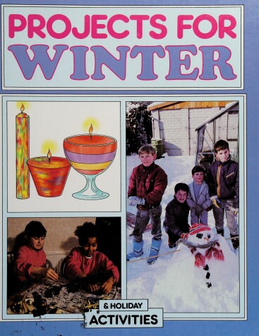 Book cover for Projects for Winter & Holiday Activities