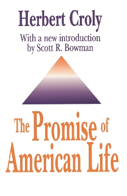 Cover of The Promise of American Life