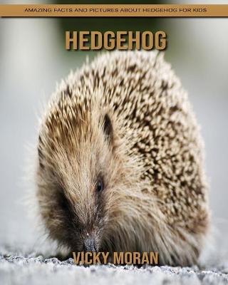 Book cover for Hedgehog