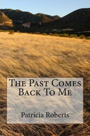 Cover of The Past Comes Back To Me