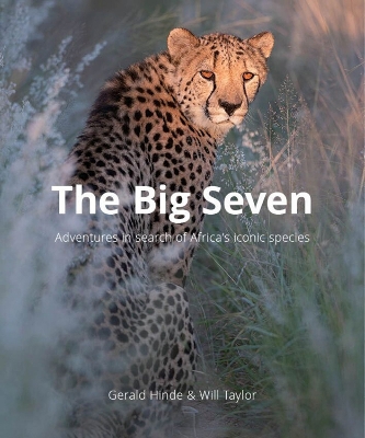 Book cover for The Big Seven