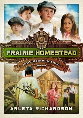 Book cover for Prairie Homestead 3