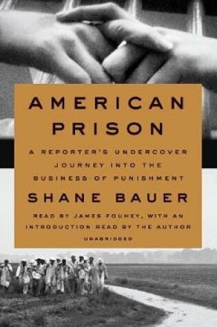 Cover of American Prison