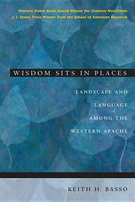 Book cover for Wisdom Sits in Places