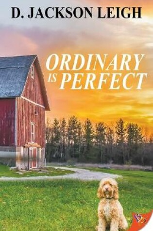 Cover of Ordinary Is Perfect