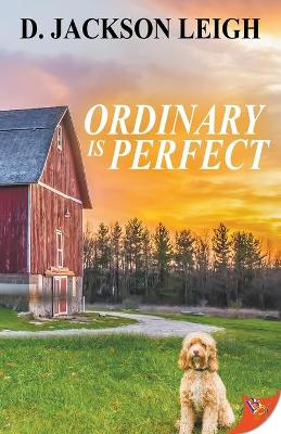 Book cover for Ordinary Is Perfect