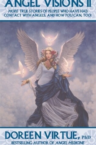 Cover of Angel Visions II