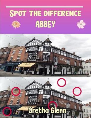 Book cover for Spot the difference Abbey