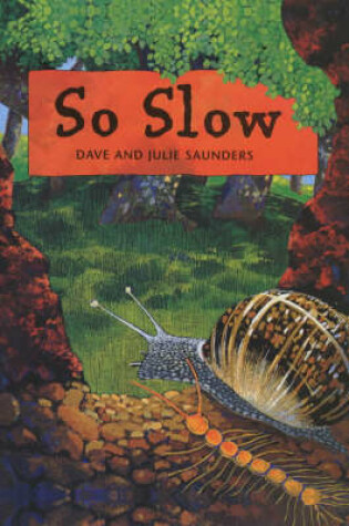 Cover of So Slow