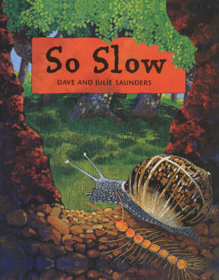 Book cover for So Slow