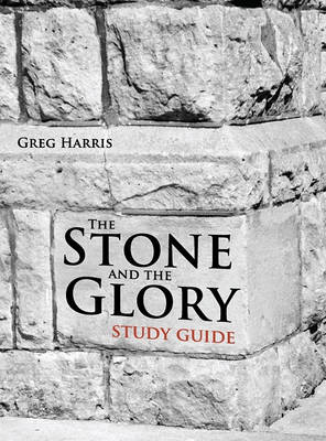 Book cover for The Stone and the Glory