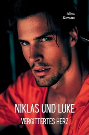 Cover of Niklas und Luke