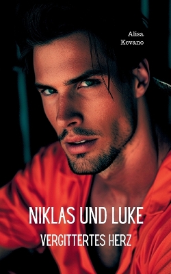 Book cover for Niklas und Luke