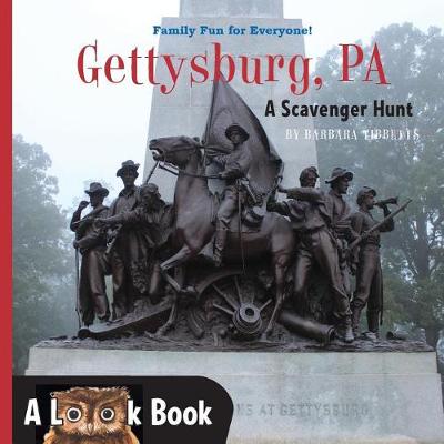 Book cover for The Look Book, Gettysburg