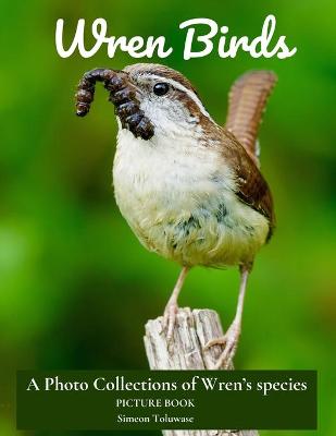 Book cover for Wren Birds A Photo Collections of Wren's Species Picture Book