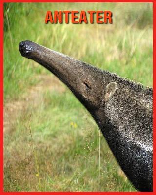 Book cover for Anteater