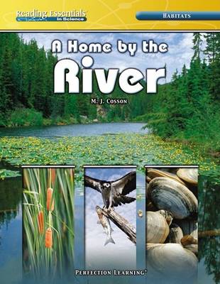Book cover for A Home by the River