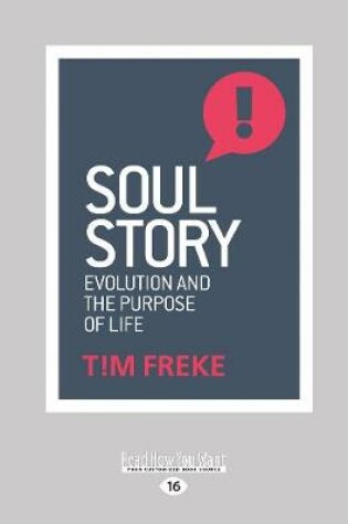 Cover of Soul Story