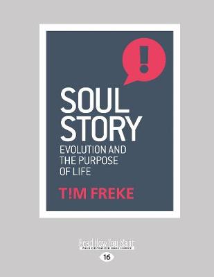 Book cover for Soul Story