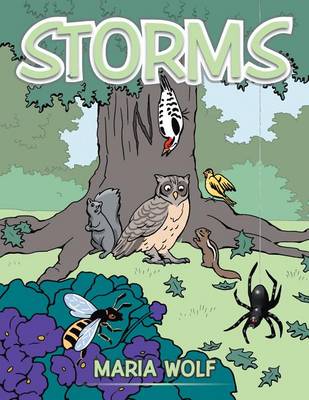 Book cover for Storms