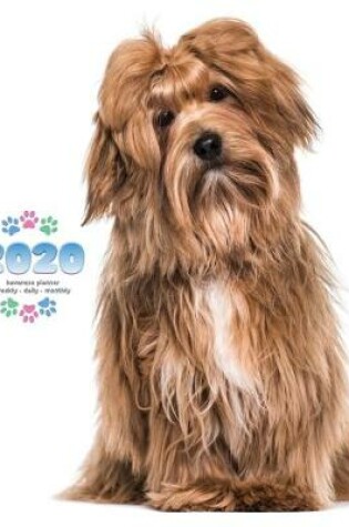 Cover of 2020 Havanese Planner - Weekly - Daily - Monthly