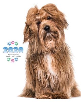 Book cover for 2020 Havanese Planner - Weekly - Daily - Monthly