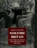 Book cover for Neolithic Britain