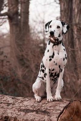 Book cover for Dalmatian Dog In Woods Blank Lined 6 x 9 Journal 150 Pages