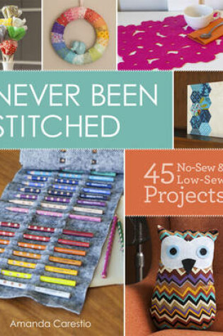 Cover of Never Been Stitched