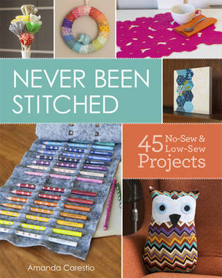 Book cover for Never Been Stitched