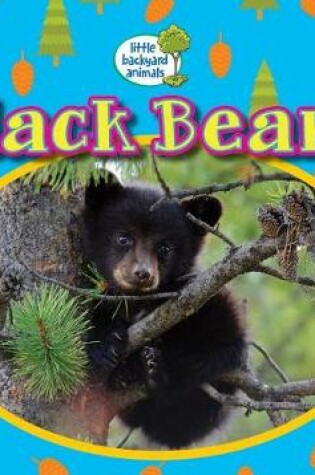 Cover of Black Bears