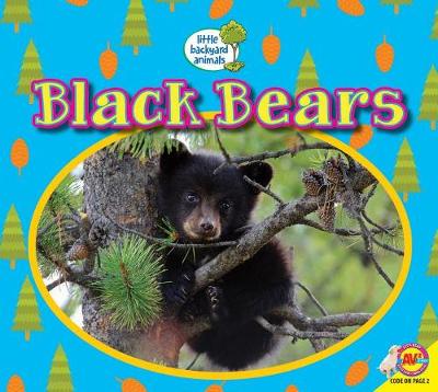 Book cover for Black Bears