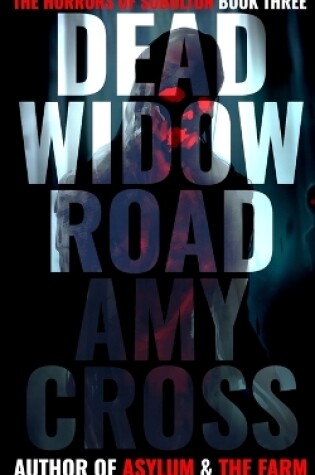 Cover of Dead Widow Road