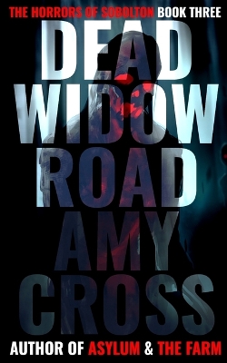 Book cover for Dead Widow Road