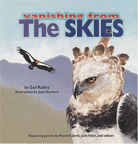 Book cover for The Skies