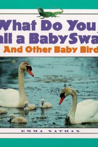 Cover of What Do You Call a Baby Swan?