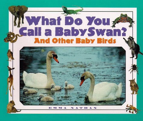 Book cover for What Do You Call a Baby Swan?