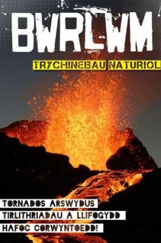 Cover of Cyfres Bwrlwm: Trychinebau Naturiol