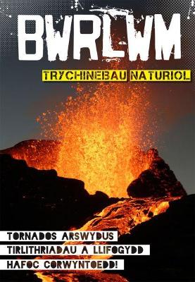 Book cover for Cyfres Bwrlwm: Trychinebau Naturiol