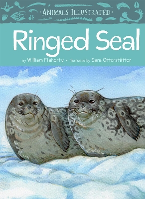 Book cover for Animals Illustrated: Ringed Seal