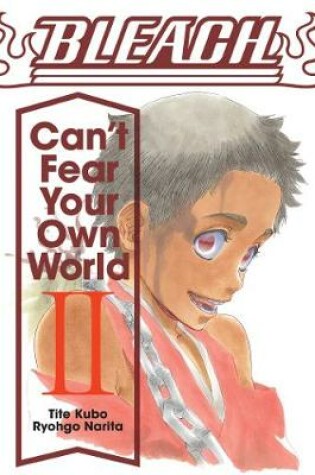 Cover of Bleach: Can't Fear Your Own World, Vol. 2